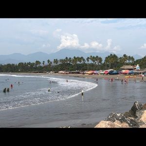 Meet your Posher, Daisy